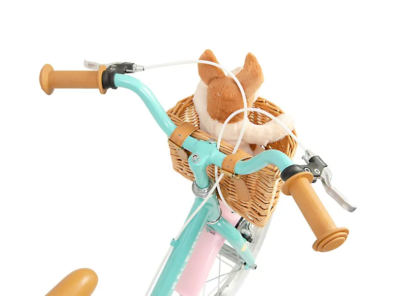 Raleigh Molli 16 Kids Bike Aqua-2